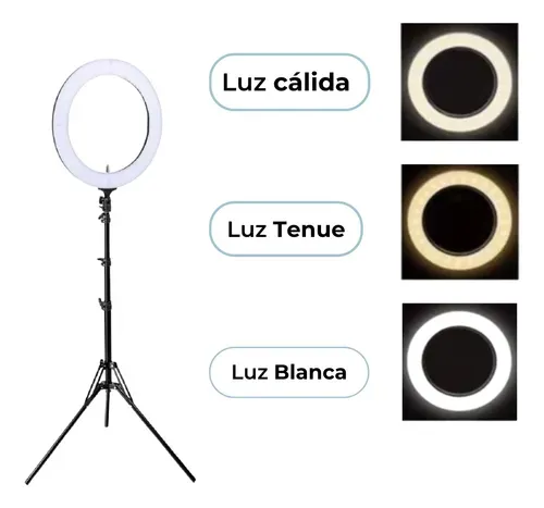 Aro De Leds 30cm Luz Blanca + Trípode 1.50mts.